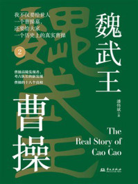 《魏武王曹操 2》-潘伟斌