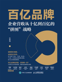 《百亿品牌：企业营收从十亿到百亿的&ldquo;拼图&rdquo;战略》-石章强