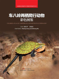 《车八岭两栖爬行动物彩色图鉴》-龚世平
