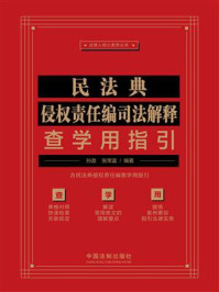 《民法典侵权责任编司法解释查学用指引》-孙政