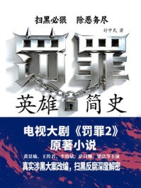 《罚罪之英雄简史（《罚罪2》原著小说）》-舒中民