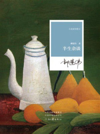 《半生杂谈》-柳建伟