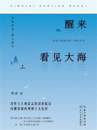 《醒来看见大海》-李成