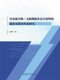 《导电聚合物.无机物纳米复合材料的制备及催化性质研究》-边秀杰 《导电聚合物.无机物纳米复合材料的制备及催化性质研究》-边秀杰