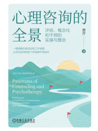 《心理咨询的全景：评估、概念化和干预的实操与整合》-唐芹