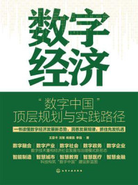 《数字经济:“数字中国”顶层规划与实践路径》-王亚卡 《数字经济:“数字中国”顶层规划与实践路径》-王亚卡