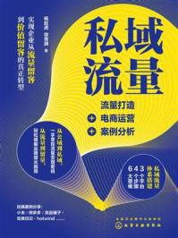 《私域流量：流量打造+电商运营+案例分析》-杨赵进