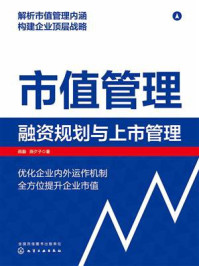 《市值管理：融资规划与上市管理》-燕灏