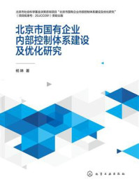 《北京市国有企业内部控制体系建设及优化研究》-杨琳
