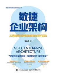 《敏捷企业架构：从战略解码到敏捷落地的闭环实践》-张金乙