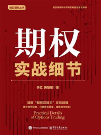 《期权实战细节》-于红