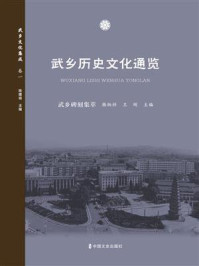 《武乡碑刻集萃(武乡历史文化通览)》-韩炳祥 《武乡碑刻集萃(武乡历史文化通览)》-韩炳祥