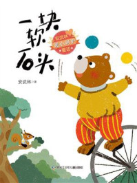 《一块软石头》-安武林