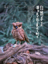 《自然手工：源自大自然的灵感与创意》-安详