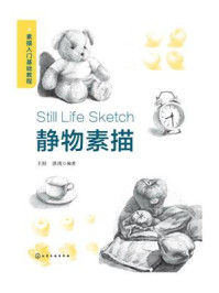 《素描入门基础教程：静物素描》-王恒