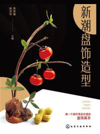 《新潮盘饰造型》-李祥睿 《新潮盘饰造型》-李祥睿