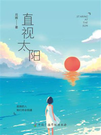 《直视太阳》-月辉