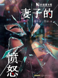 《妻子的愤怒》-曲中直