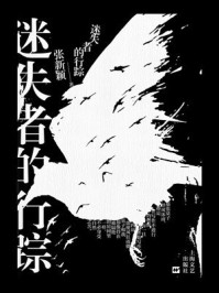 《迷失者的行踪》-张新颖