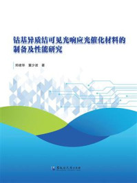 《钴基异质结可见光响应光催化材料的制备及性能研究》-郑建华