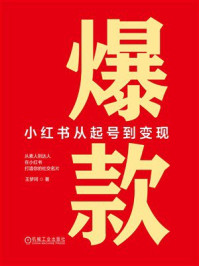 《爆款：小红书从起号到变现》-王梦珂