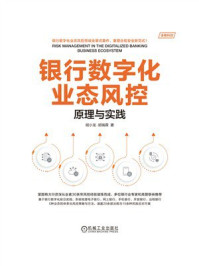 《银行数字化业态风控：原理与实践》-胡小龙