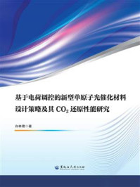 《基于电荷调控的新型单原子光催化材料设计策略及其CO2还原性能研究》-白林鹭