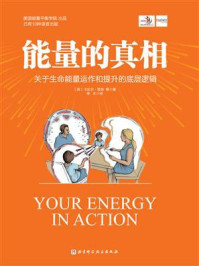 《能量的真相》-卡比尔&middot;贾菲