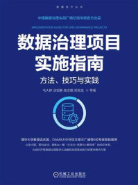 《数据治理项目实施指南:方法、技巧与实践》-毛大群 《数据治理项目实施指南:方法、技巧与实践》-毛大群