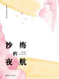《沙梅的夜航》-于德北