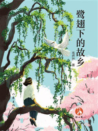 《鹭翅下的故乡》-毛芦芦