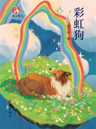 《彩虹狗》-高洪波