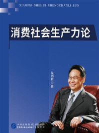 《消费社会生产力论》-吴炳新
