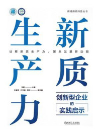 《新质生产力：创新型企业的实践启示》-王挺