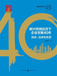 《新兴市场经济下企业发展40年：困惑、选择和希望》-刘小玄