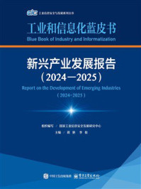 《新兴产业发展报告（2024&mdash;2025）》-国家工业信息安全发展研究中心