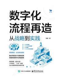 《数字化流程再造：从战略到实践》-陈建