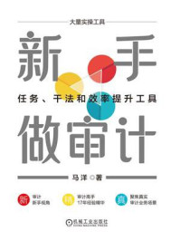 《新手做审计：任务、干法和效率提升工具》-马洋