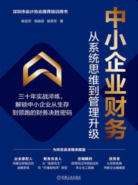《中小企业财务：从系统思维到管理升级》-杨金芳