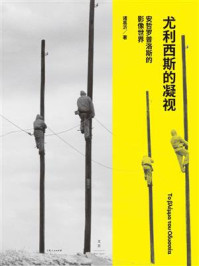 《尤利西斯的凝视：安哲罗普洛斯的影像世界》-诸葛沂
