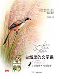 《自然里的文学课：芒草轻弹大地的旋律》-何腾江