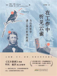 《在工作中听见云雀：当自然哲学遇上现代职场焦虑》-约翰&middot;卡格