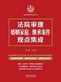 《法院审理婚姻家庭、继承案件观点集成》-张琳