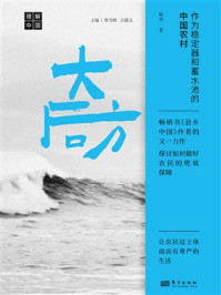 《大后方：作为稳定器和蓄水池的中国农村》-杨华