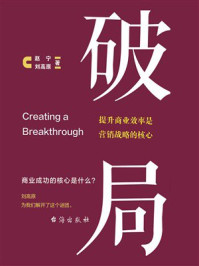 《破局：提升商业效率是营销战略的核心》-赵宁