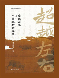 《超越左右：实践历史与中国农村的发展》-黄宗智