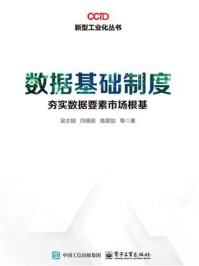 《数据基础制度：夯实数据要素市场根基》-吴志刚