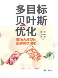 《多目标贝叶斯优化：面向大模型的超参调优理论》-徐华