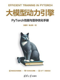 《大模型动力引擎：PyTorch性能与显存优化手册》-张爱玲