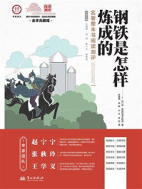 《《钢铁是怎样炼成的》名著整本书阅读测评》-尼·奥斯特洛夫斯基